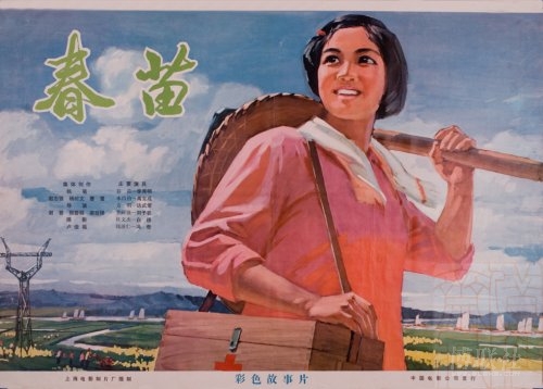 越南驾驶证哪里有卖